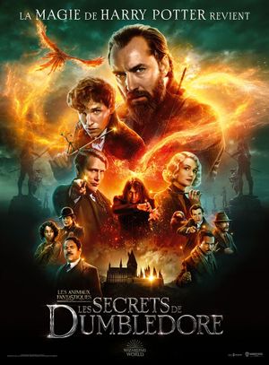 Les Animaux fantastiques - Les Secrets de Dumbledore - Film (2022)